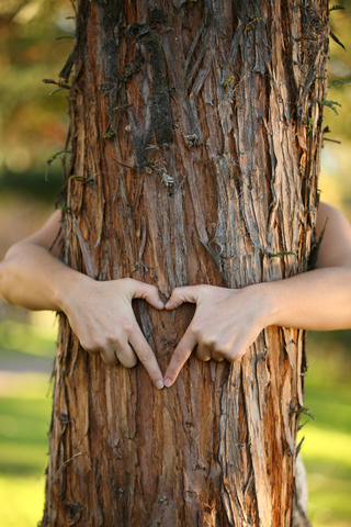 Tree Hugger